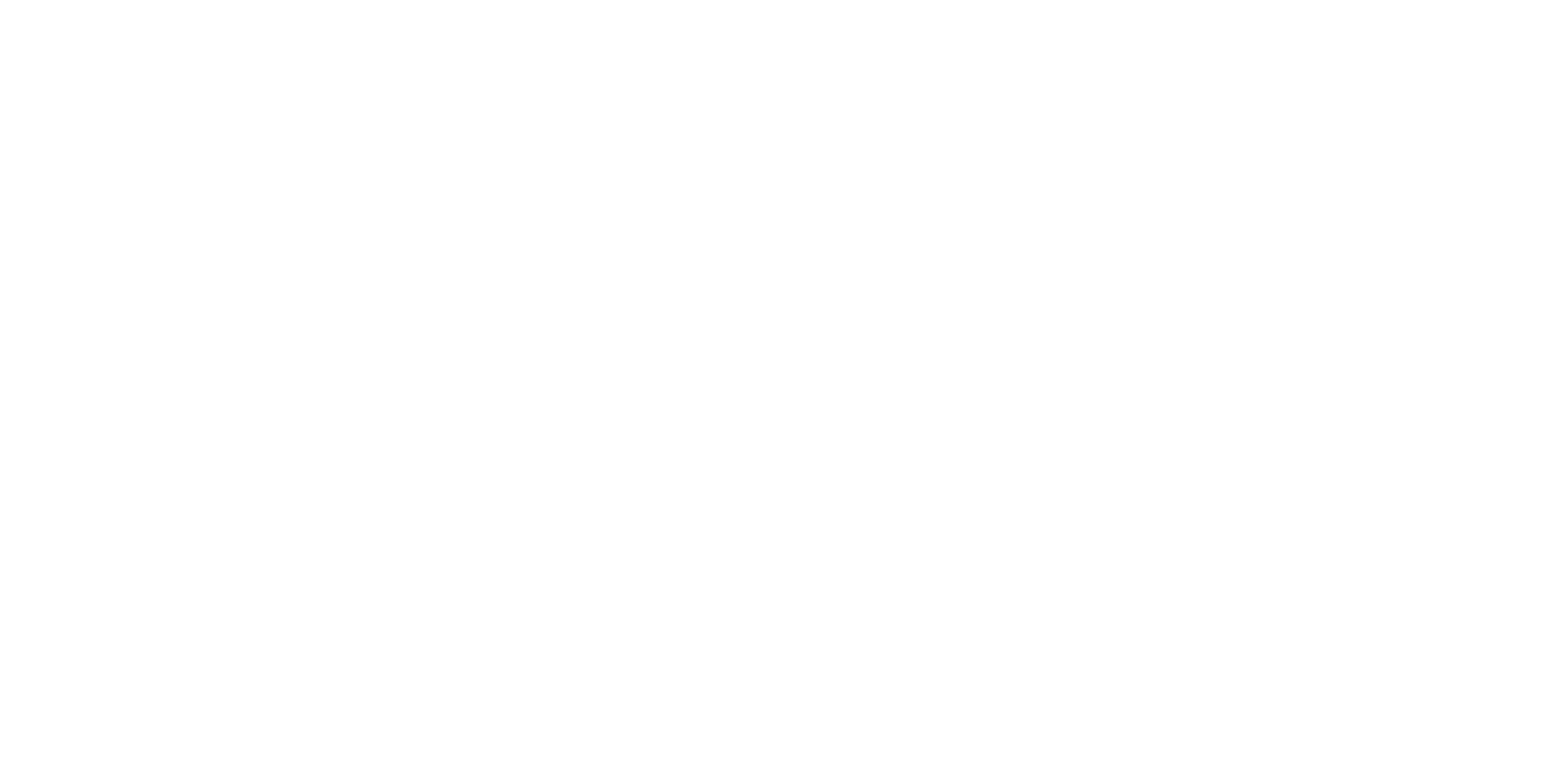 TrueNorth AI Consulting
